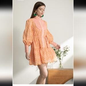 NWT RoiiLace Baroque Button-Down Long Sleeve I Dress 80% Cotton